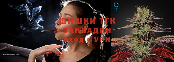 индика Гусь-Хрустальный