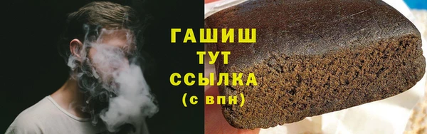 индика Гусь-Хрустальный