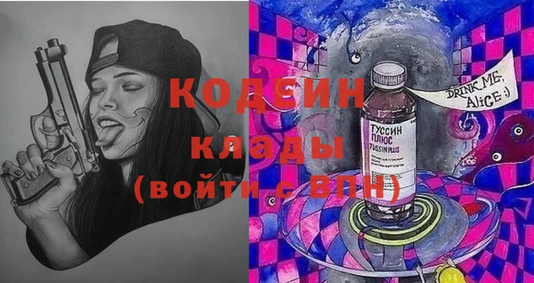 индика Гусь-Хрустальный
