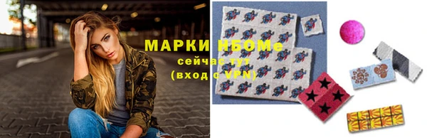 индика Гусь-Хрустальный