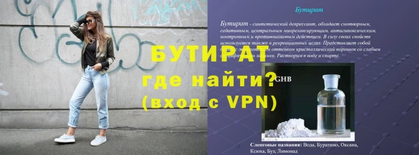 индика Гусь-Хрустальный