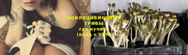 кокаин колумбия Гусиноозёрск