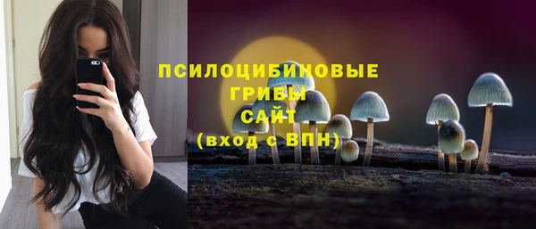 круглые Гусев