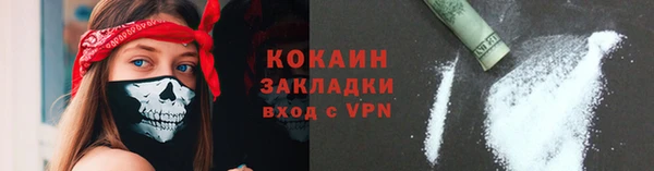 стаф Дмитриев