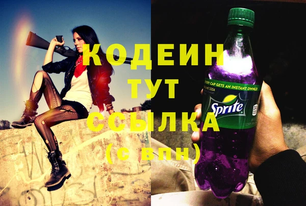 стаф Дмитриев