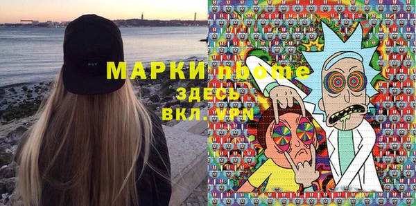 индика Гусь-Хрустальный