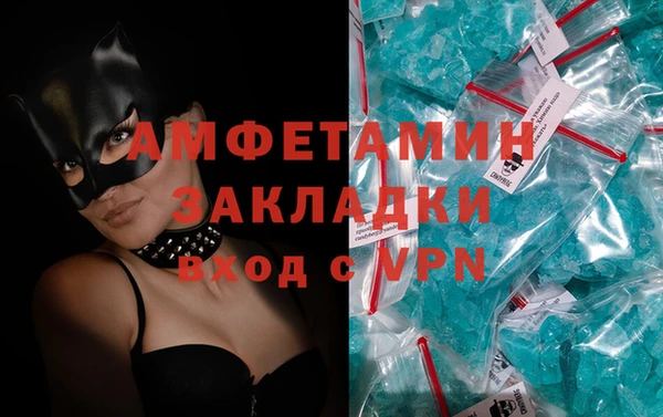 индика Гусь-Хрустальный