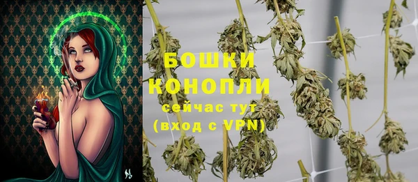 круглые Гусев