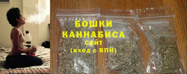 стаф Дмитриев